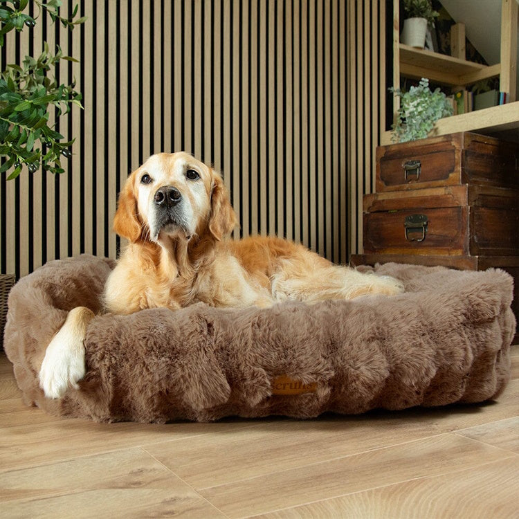 Scruffs Alpine Dog Bed - Taupe