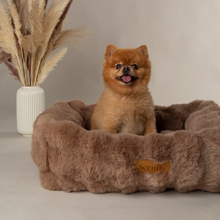 Scruffs Alpine Dog Bed - Taupe