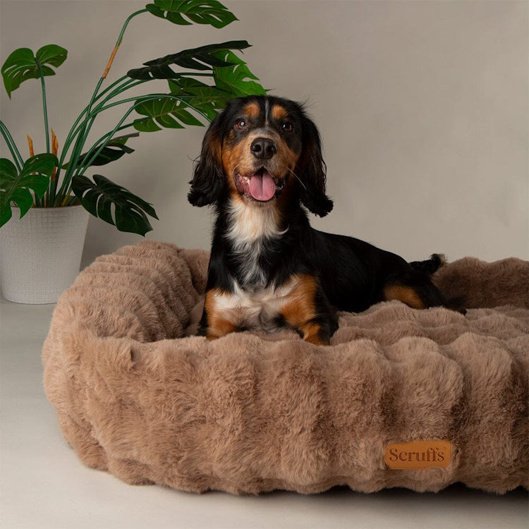 Scruffs Alpine Dog Bed - Taupe