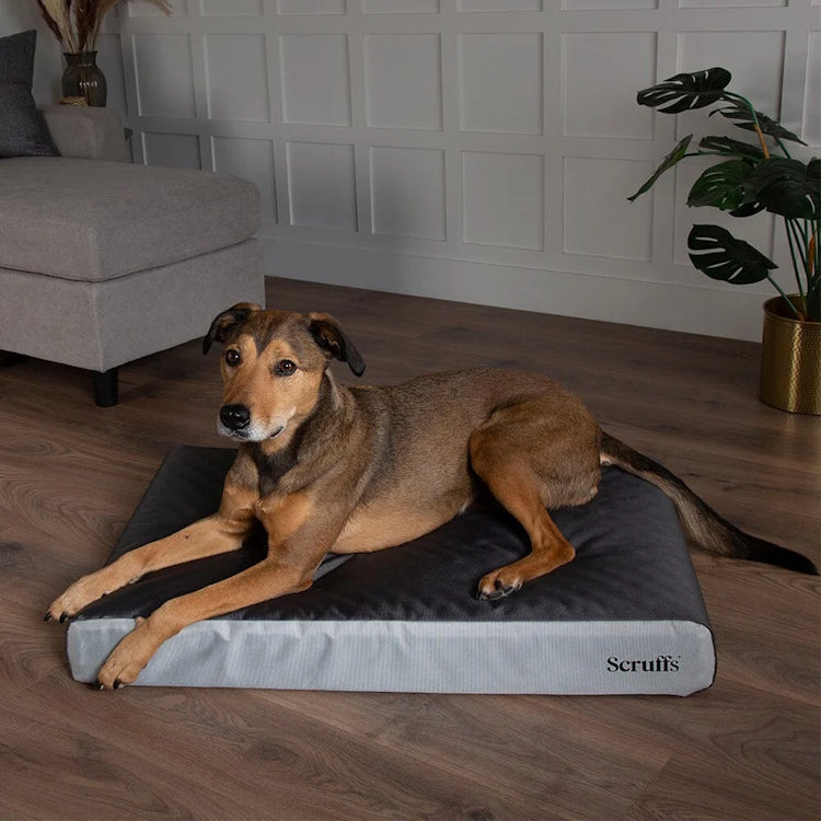 Scruffs ArmourDillo Orthopaedic Dog Bed - Grey