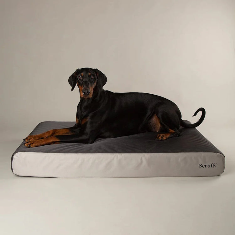 Scruffs ArmourDillo Orthopaedic Dog Bed - Grey
