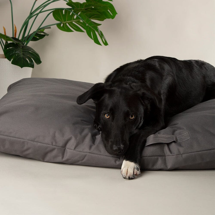 Scruffs Expedition Orthopaedic Pillow Dog Bed - Storm Grey