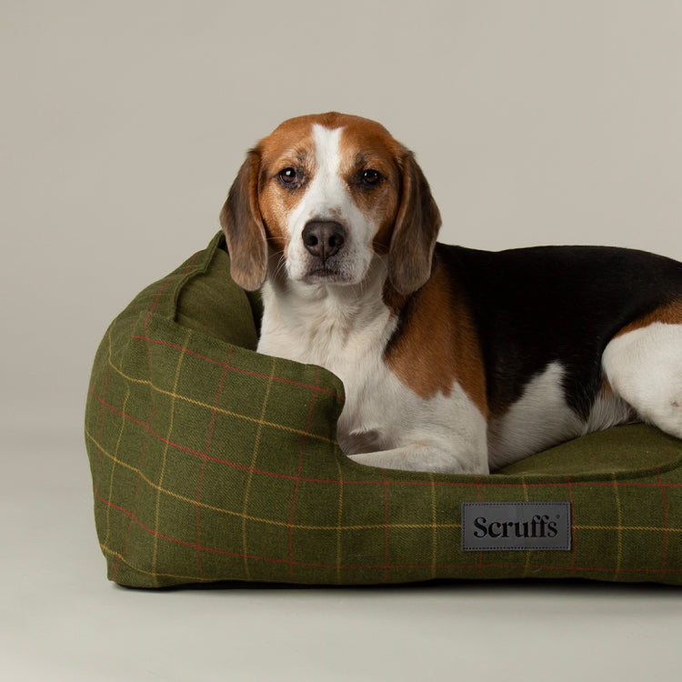 Scruffs Shetland Dog Box Bed - Green
