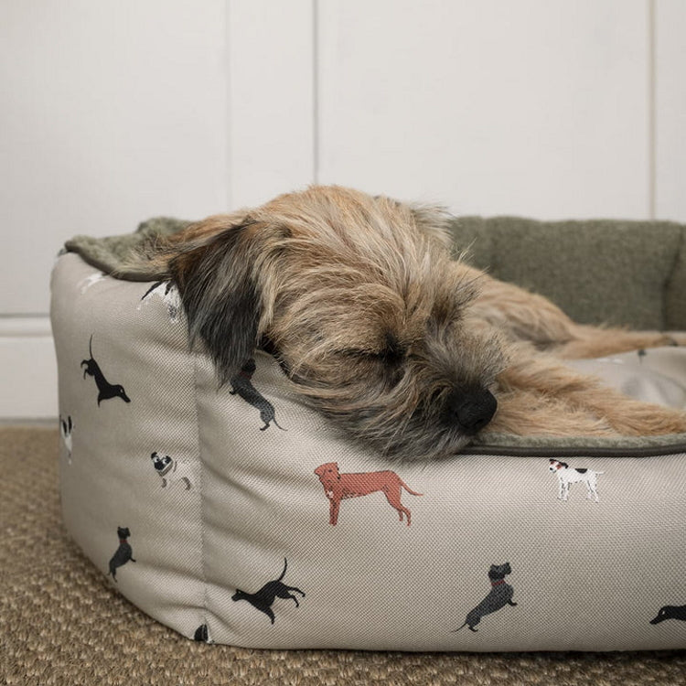 Sophie Allport Pet Bed Woof - Large