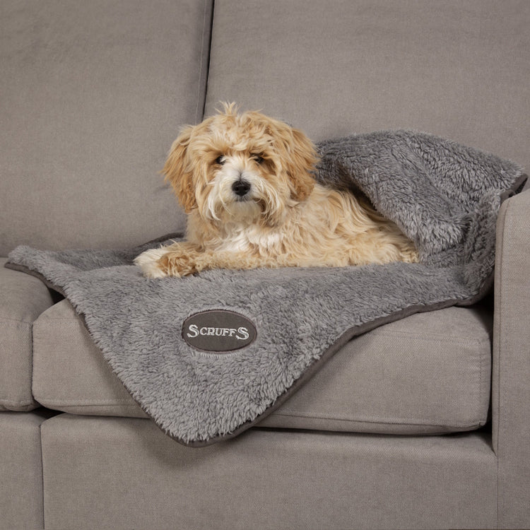 Scruffs Cosy Dog Blanket - Grey
