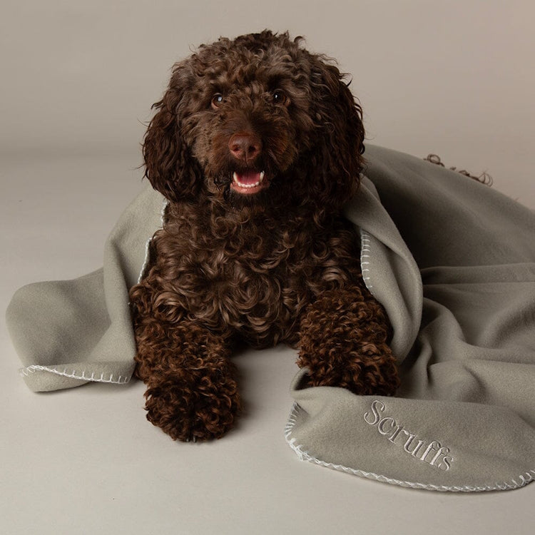 Scruffs Expedition Dog Fleece Blanket - Storm Grey