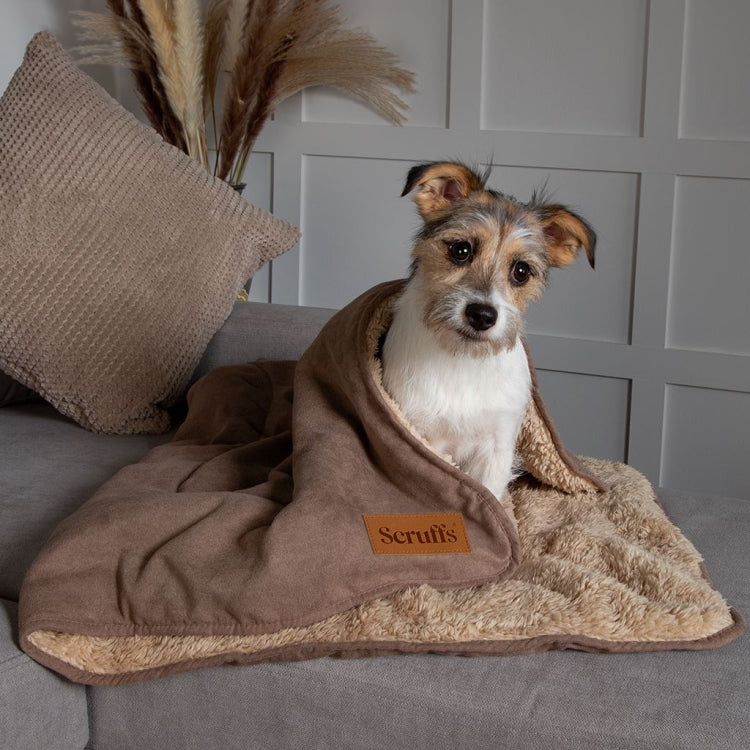 Scruffs Cosy Snuggle Dog Blanket - Caramel Brown