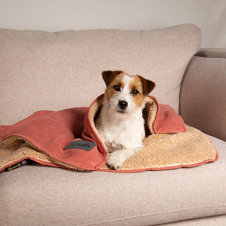 Scruffs Cosy Snuggle Dog Blanket - Terracotta
