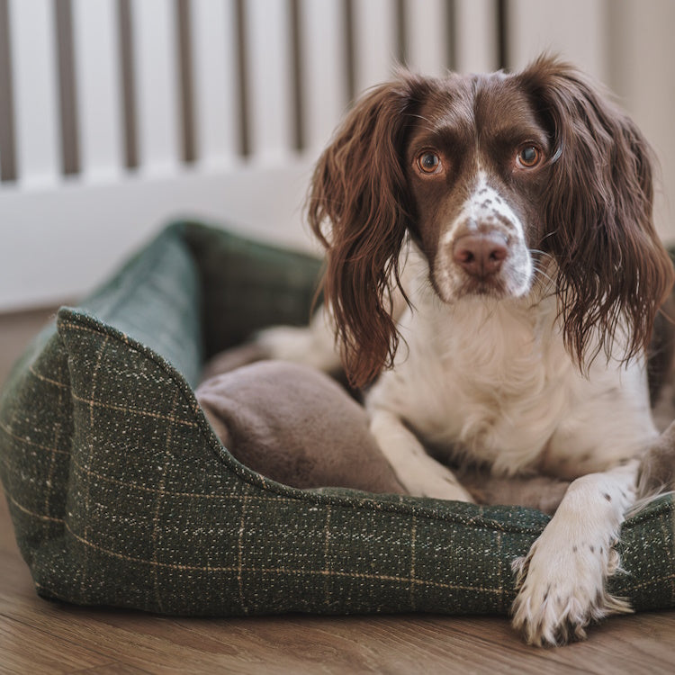 House of Paws Moss Tweed Rectangle Dog Bed