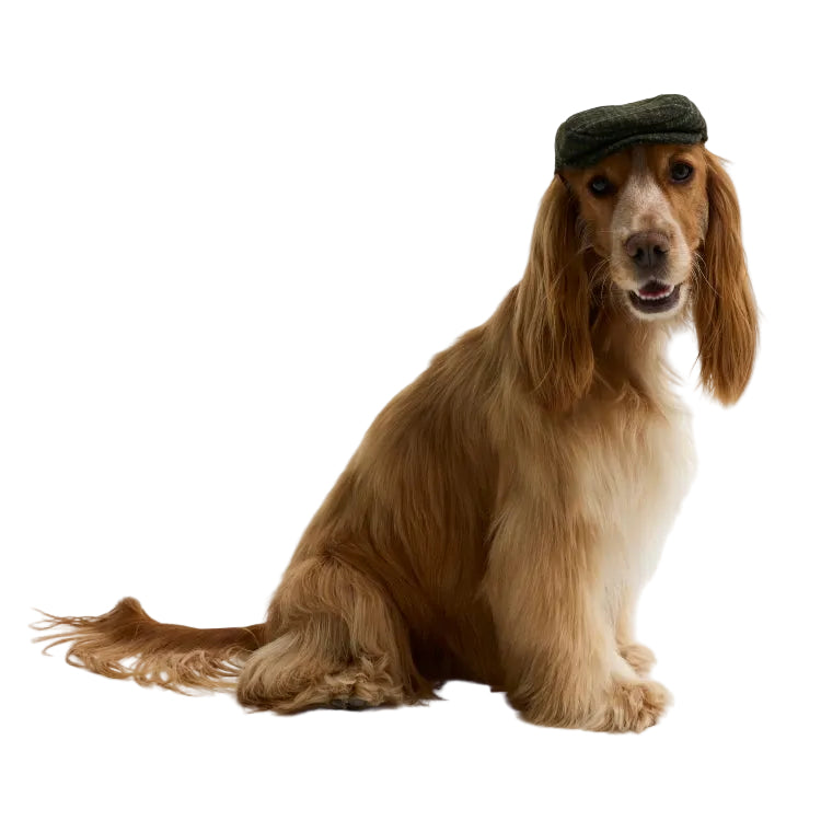 Barbour Wilkin Dog Flat Cap - Olive Check