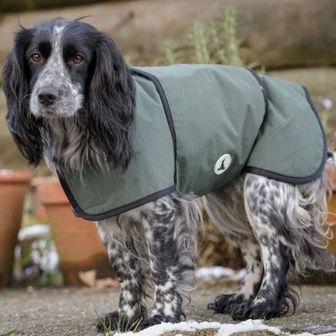 Dog and Field 2 in 1 Waterproof Drying Dog Coat John Norris