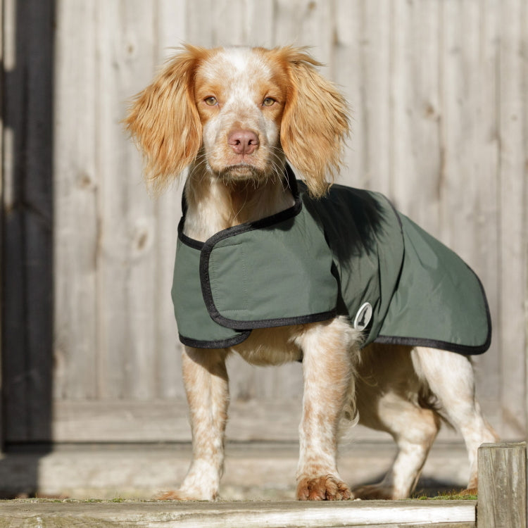 Dog and Field 2-in-1 Waterproof Drying Dog Coat