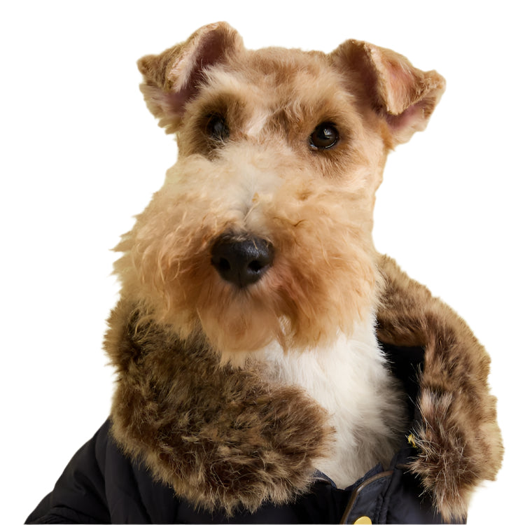 Joules Cherington Dog Coat