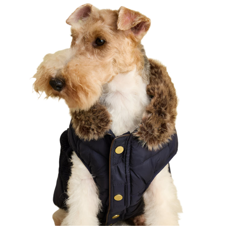 Joules Cherington Dog Coat