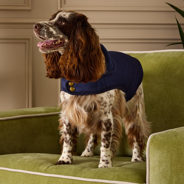Joules Quilted Dog Coat - Navy
