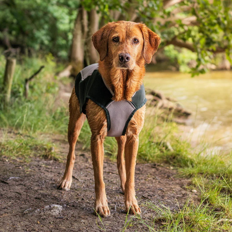 Ruff and Tumble Dog Cooling Coat