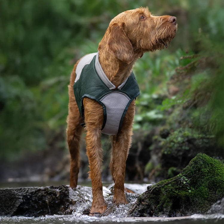 Ruff and Tumble Dog Cooling Coat