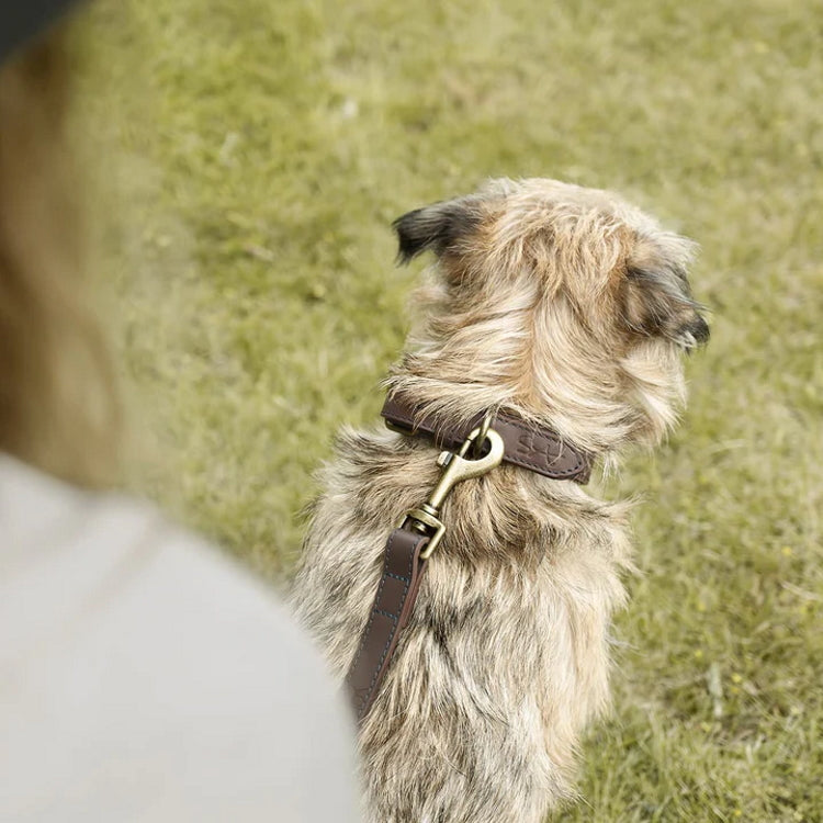 Sophie Allport Woof Leather Dog Collar
