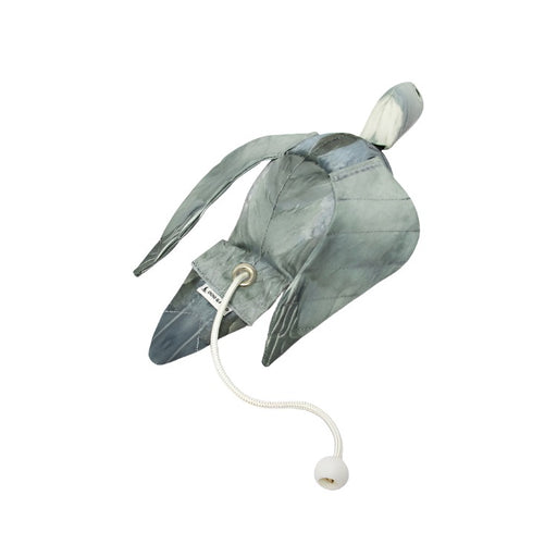 Dog and Field Wood Pigeon Dead Bird Dummy