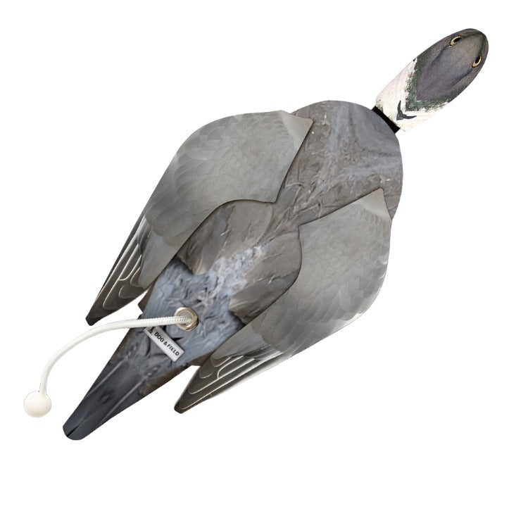 Dog and Field Wood Pigeon Dead Bird Dummy