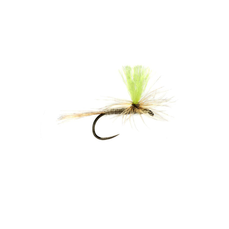 Proctor Hi-Vis Para-Duster Barbless Fly