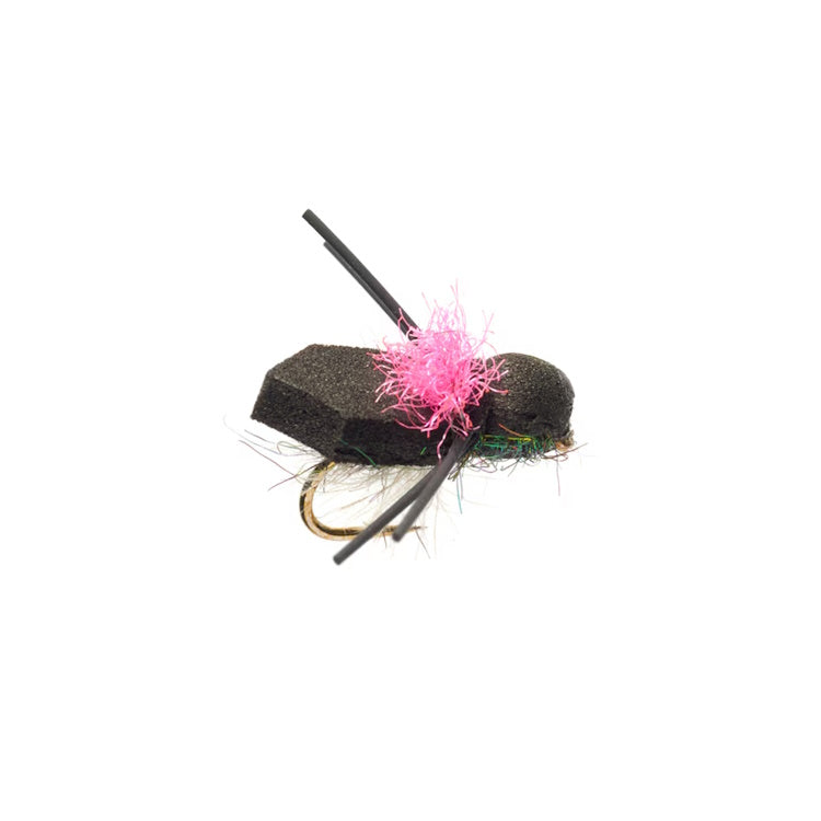 Procters Bluebottle Pink Wing Fly