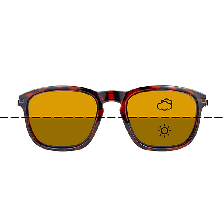 Fortis Strokes Sunglasses - Switch