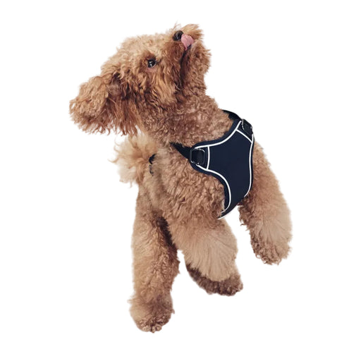Aigle Dog Harness - Empire