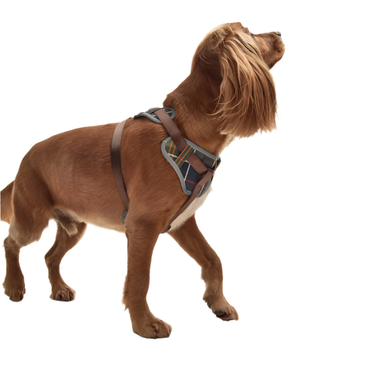 Barbour Fully Adjustable Dog Harness - Classic Tartan