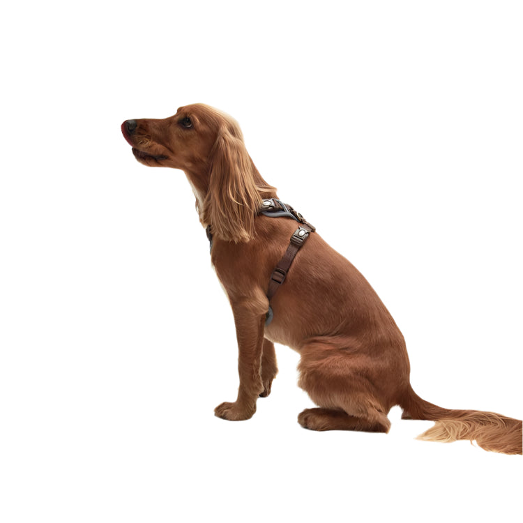 Barbour Fully Adjustable Dog Harness - Classic Tartan