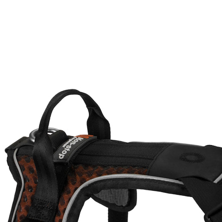 Non-Stop Dogwear Rock Dog Harness - Black/Orange