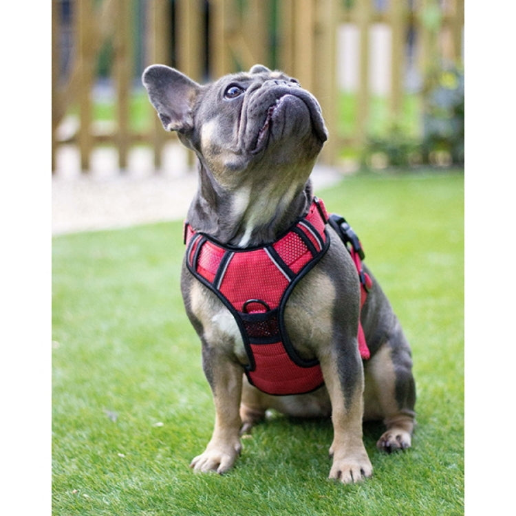 Rosewood Full Reflective Dog Harness - Red