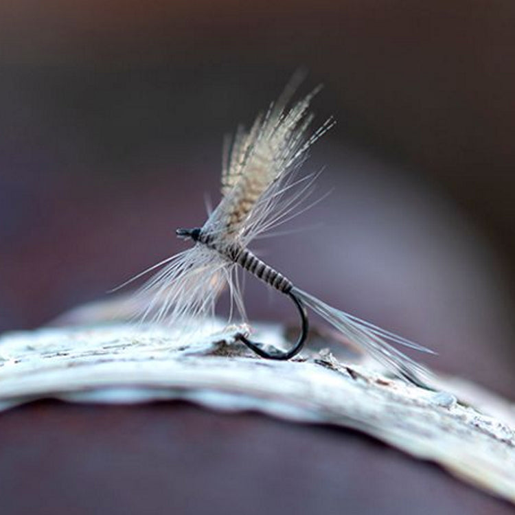 Ahrex FW502 Dry Fly Light Barbed Hooks