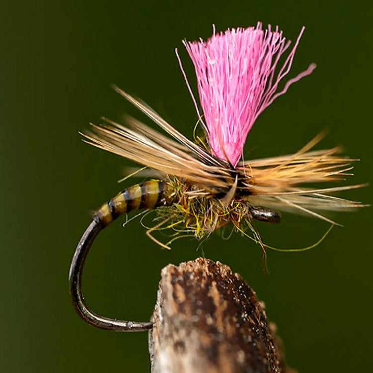 Ahrex FW527 Big Gap Dry Hooks