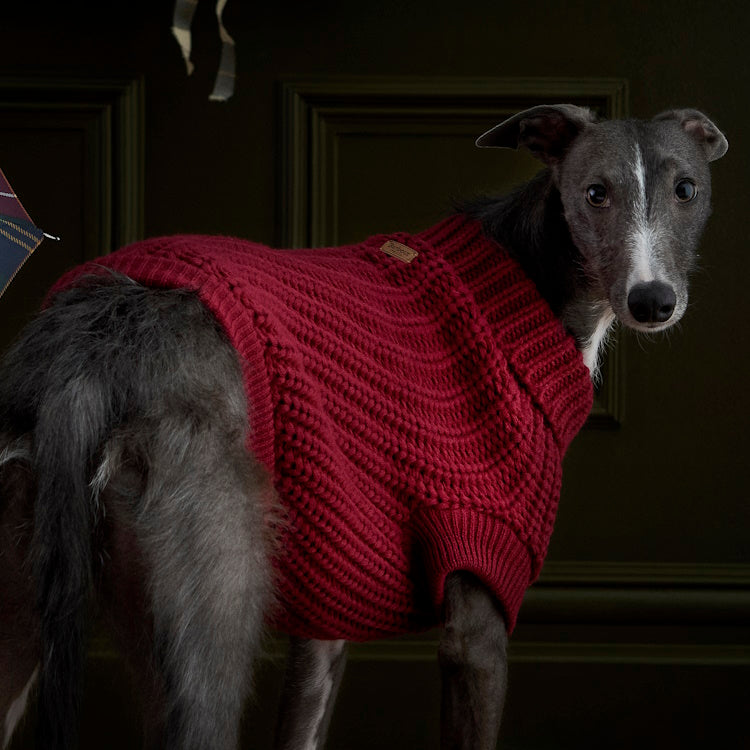 Barbour Saltburn Dog Jumper - Biking Red
