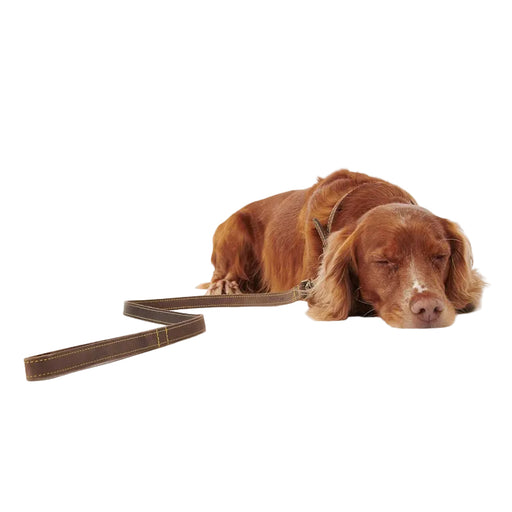 Barbour Leather Dog Lead