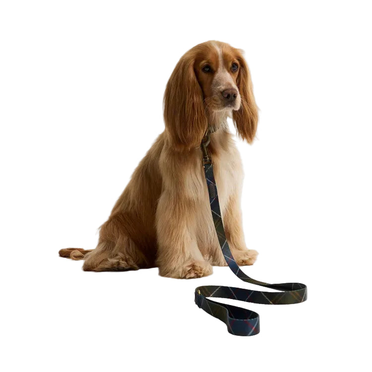 Barbour Tartan Printed Dog Lead - Classic Tartan