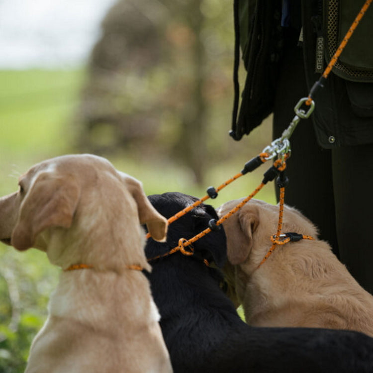 Dog and Field Pro Trialler Multi Dog Slip Lead