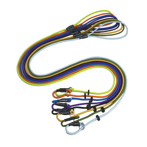 Dog and Field Signature Slip Lead