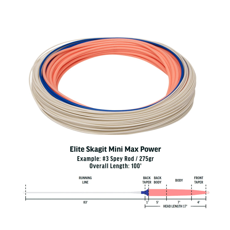 Rio Elite Integrated Skagit Mini Max Power