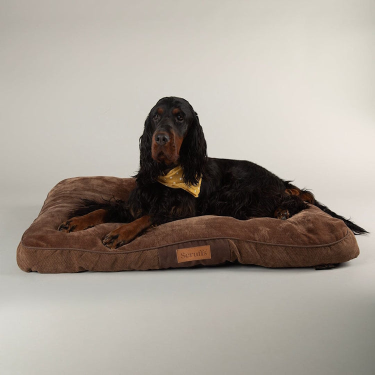 Scruffs Chester Dog Mattress - Chocolate - Large