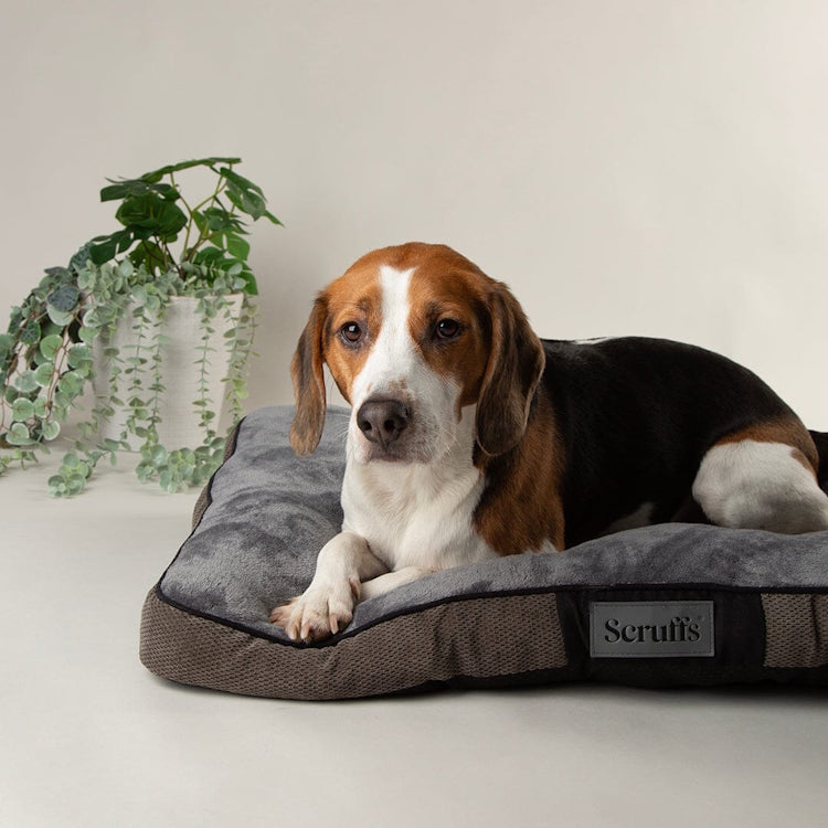 Scruffs Chester Dog Mattress - Graphite - Large