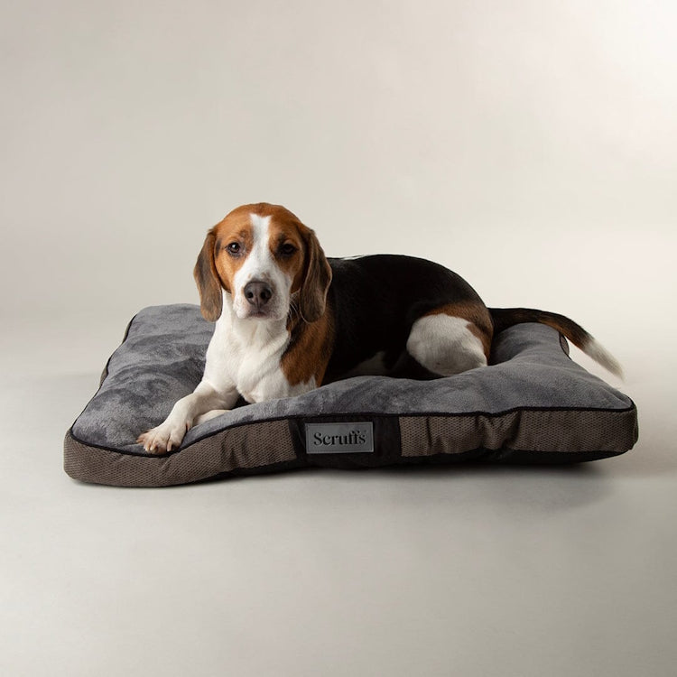 Scruffs Chester Dog Mattress - Graphite - Large