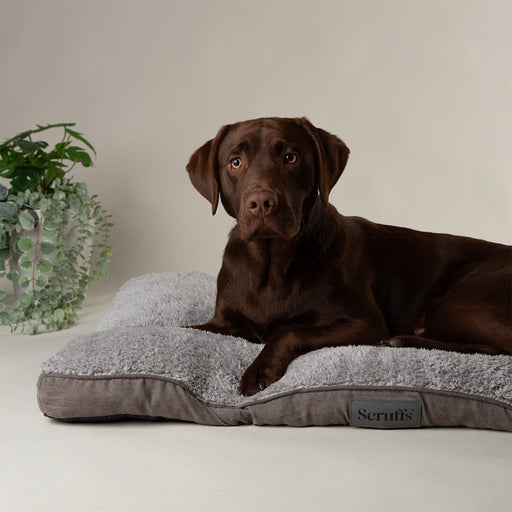 Scruffs Cosy Dog Mattress - Grey