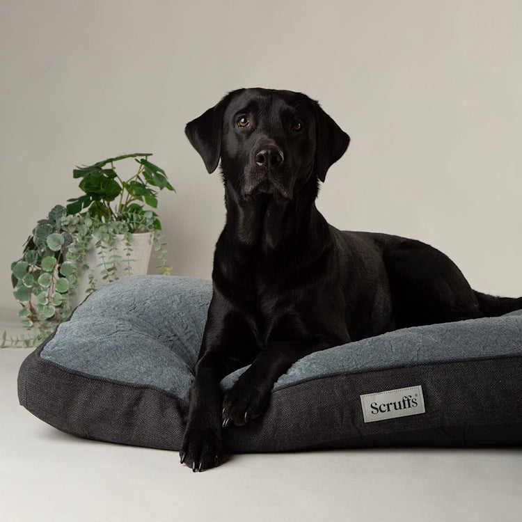 Scruffs Harvard Dog Mattress - Graphite Grey