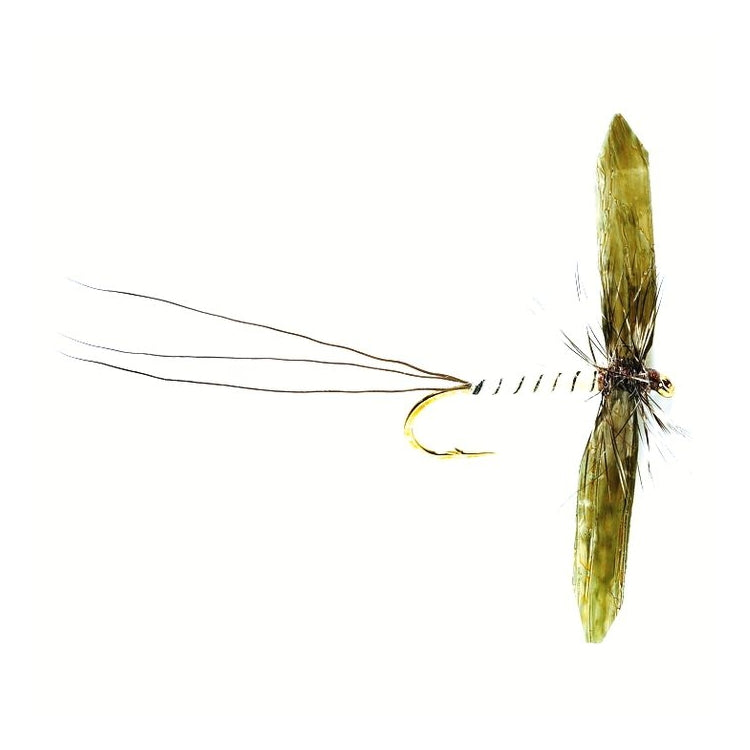 Mayfly Spinner Fly