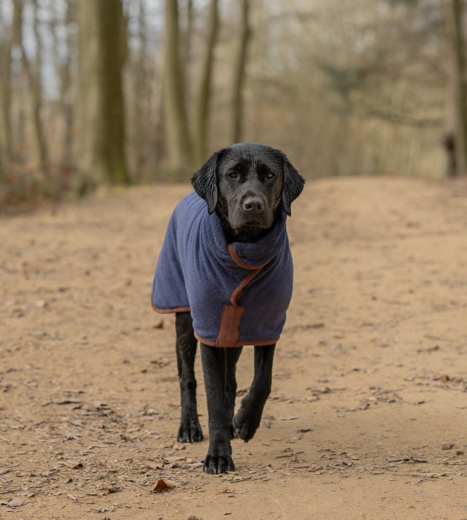  Guardian Gear Fleece-Lined Boots for Dogs, Large, Blue : Pet  Boots : Pet Supplies