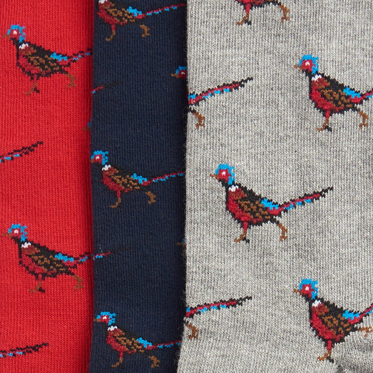 Barbour Pheasant Socks Gift Box Selection