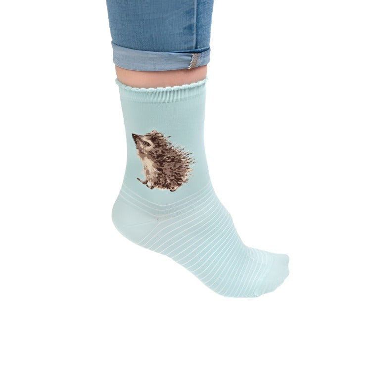 Wrendale Designs Ladies Socks - Hedgehugs Hedgehogs