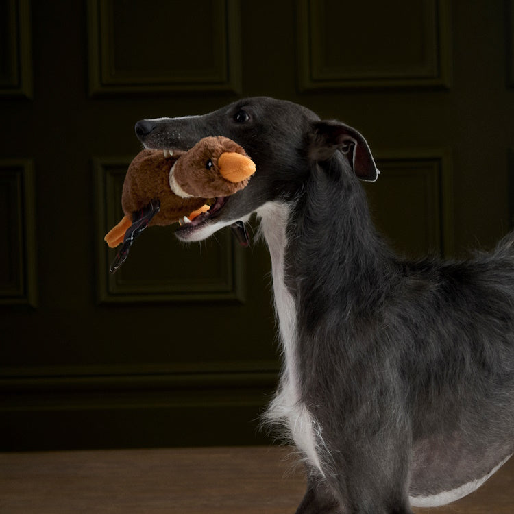 Barbour Dog Flying Duck Toy - Brown